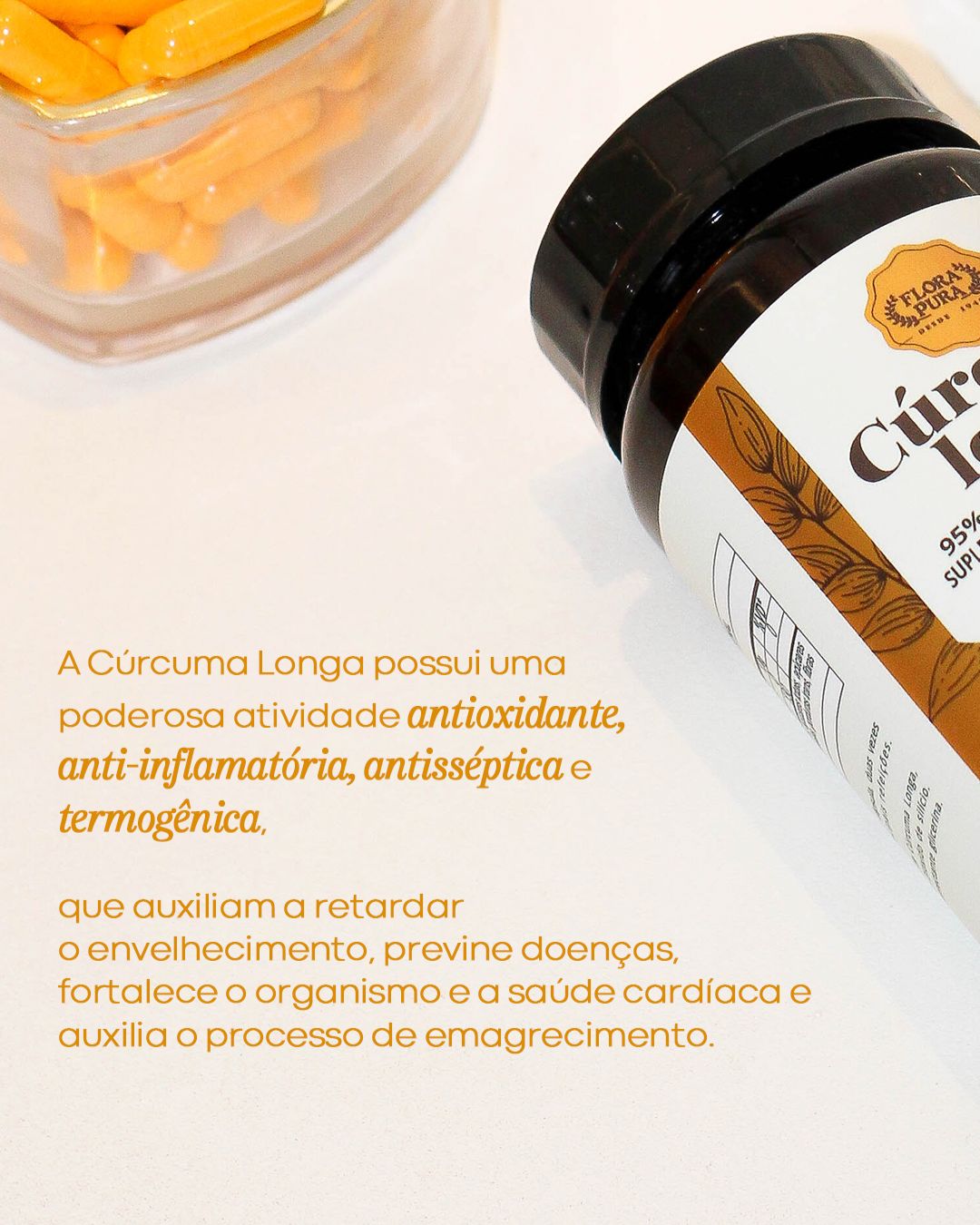 CURCUMA LONGA- 60CAPS- 500MG | FLORA PURA - Imagem 3